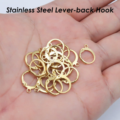 50 x Stainless Steel Earring Hooks Gold Silver Leverback Earrings, Lever Back Earring Hoops, Hypoallergenic Earring Wires for Jewelry Making