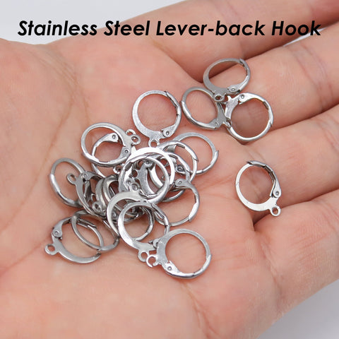 50 x Stainless Steel Earring Hooks Gold Silver Leverback Earrings, Lever Back Earring Hoops, Hypoallergenic Earring Wires for Jewelry Making