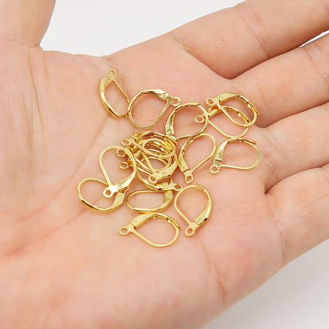 50 x Stainless Steel Leveback Ear Wires, Lever Back Earring Hooks Earwires, Hypoallergenic Earring Hooks Jewelry Supplies